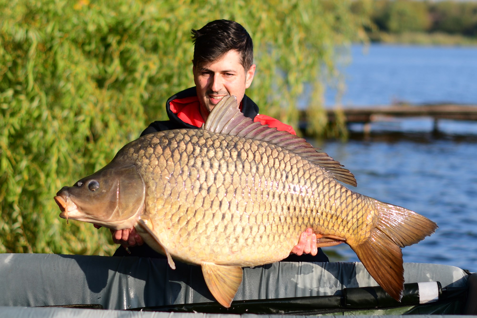 Tancabesti 13 octombrie 2022 - DSC8023.jpg